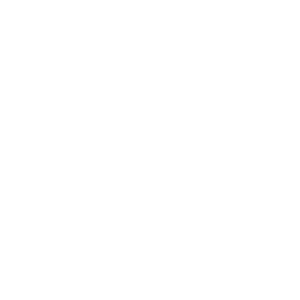 logo monochrome blanc 512